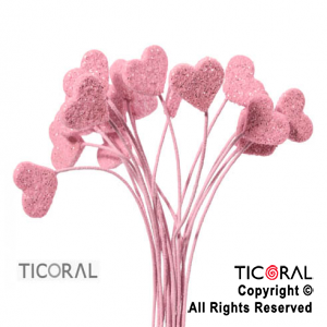 MICROFORMA CORAZON ROSA GIBRE TELGO x 18